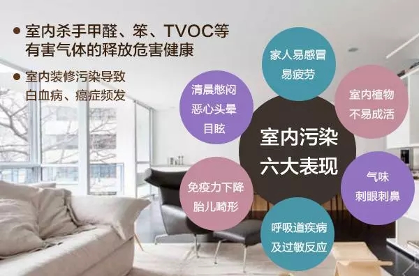 裝修污染早已伸向了學(xué)校？中學(xué)生無緣高考的背后是什么？